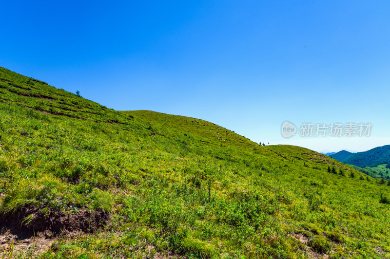 夏季蓝天白云绿色高山草甸群山大气风光