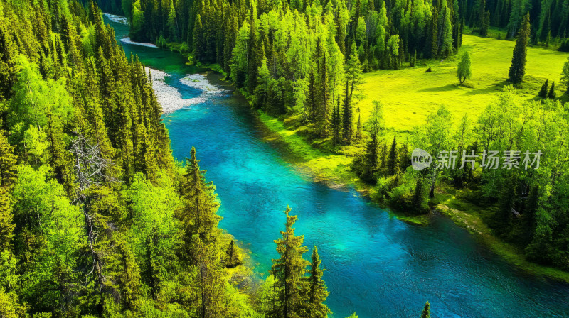 碧绿的河水两岸茂密的丛林唯美自然风景