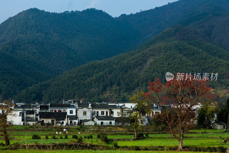 秋天的徽州古村