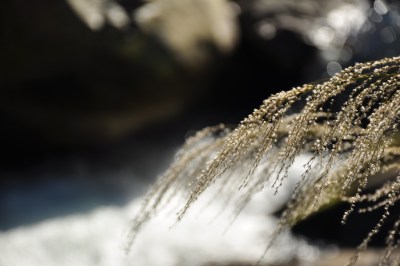 株洲风景  株洲神龙谷