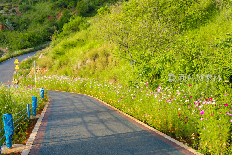 湖边开满鲜花的蜿蜒道路风景