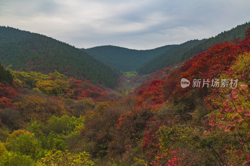 山东济南龙洞景区秋天秋色航拍