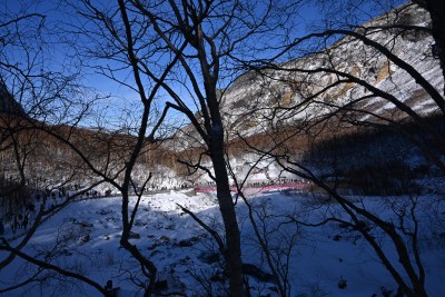 山间雪地景象透过树枝的冬日风光