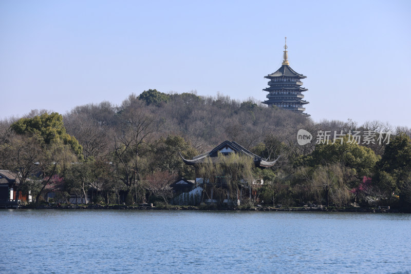 中国杭州西湖花港观鱼碧空映衬下的湖景