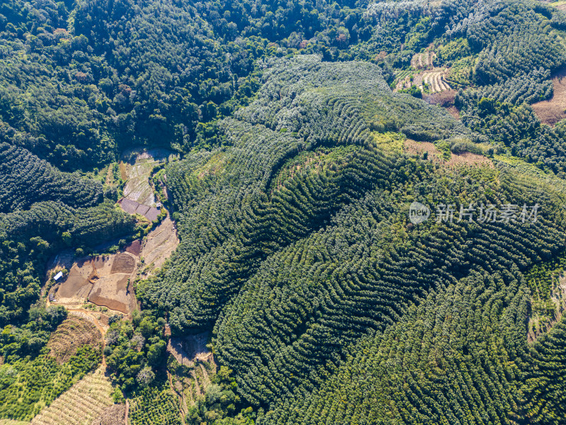 航拍绿意盎然的连绵起伏的山地景色