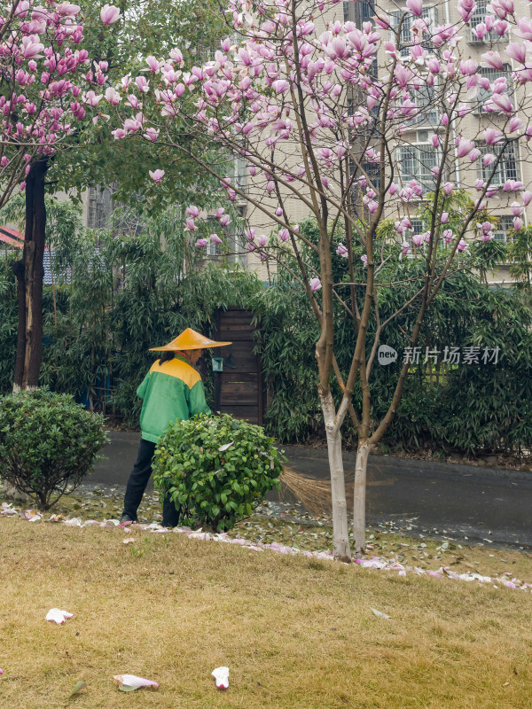 湖南常德陈辉公园内部景观