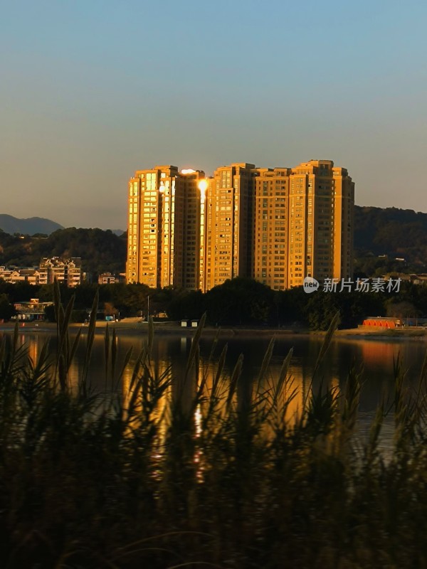 黄昏时分湖边矗立的高楼建筑