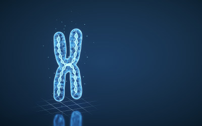 蓝色线条结构染色体 3D渲染