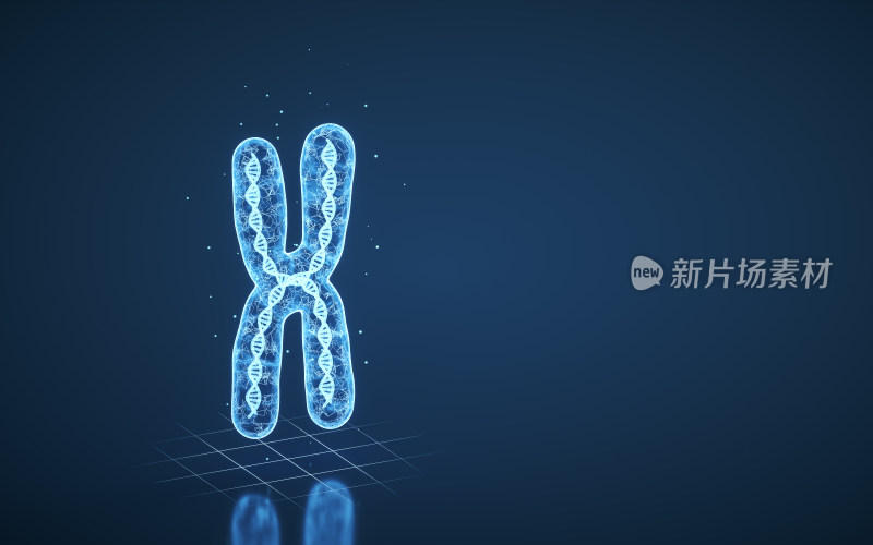 蓝色线条结构染色体 3D渲染