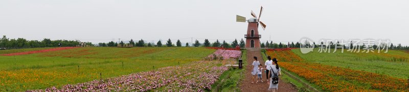 花草 微距摄影 城市风光