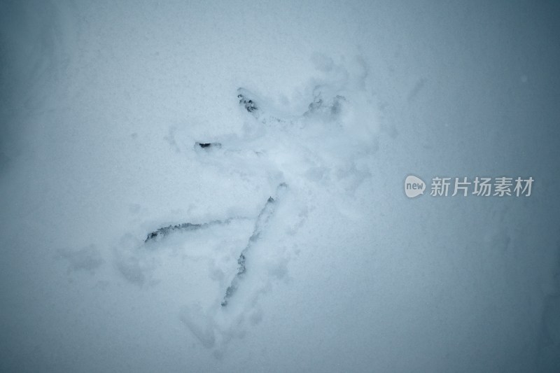 雪地中绘制的人形图案