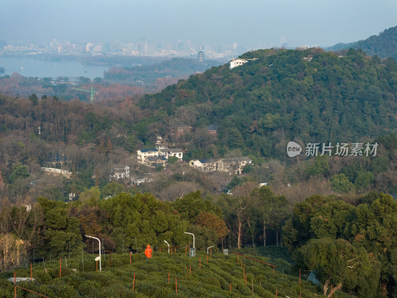 浙江杭州西湖龙井茶园古建筑茶田宁静风光