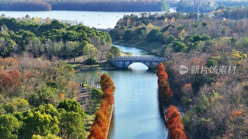 航拍上海奉贤海湾森林公园