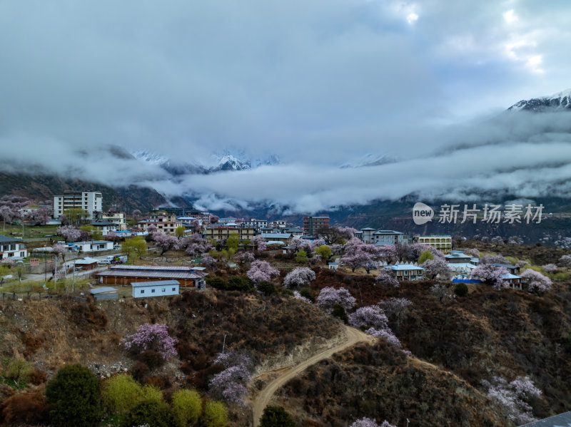 西藏林芝桃花节云雾航拍