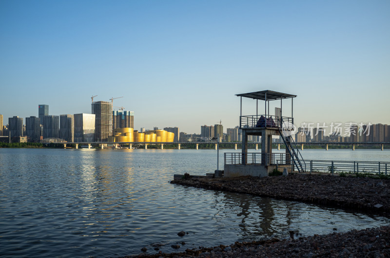 城市高楼背景下的湿地自然景观