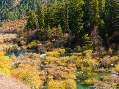 九寨沟秋景