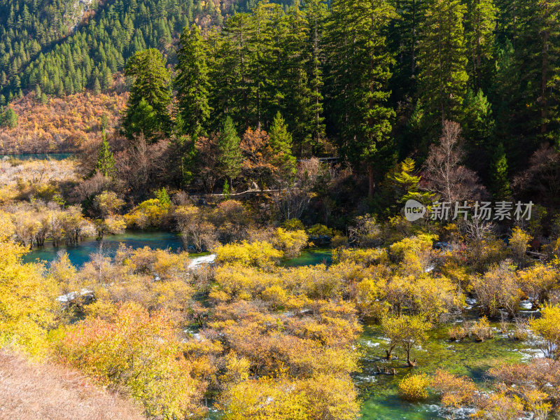 九寨沟秋景