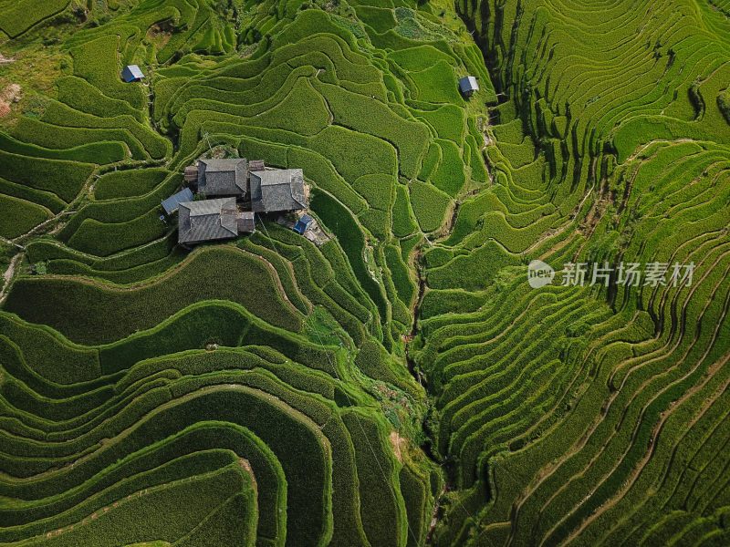 贵州黔东南从江县加榜梯田田园风光