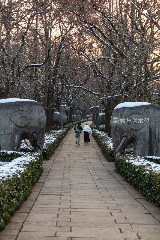 南京明孝陵石象路神道雪景