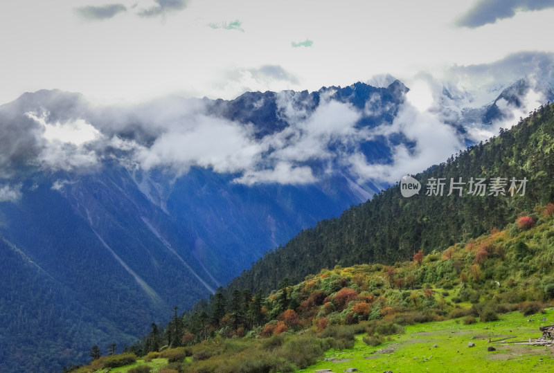 云雾中森林山川自然风景