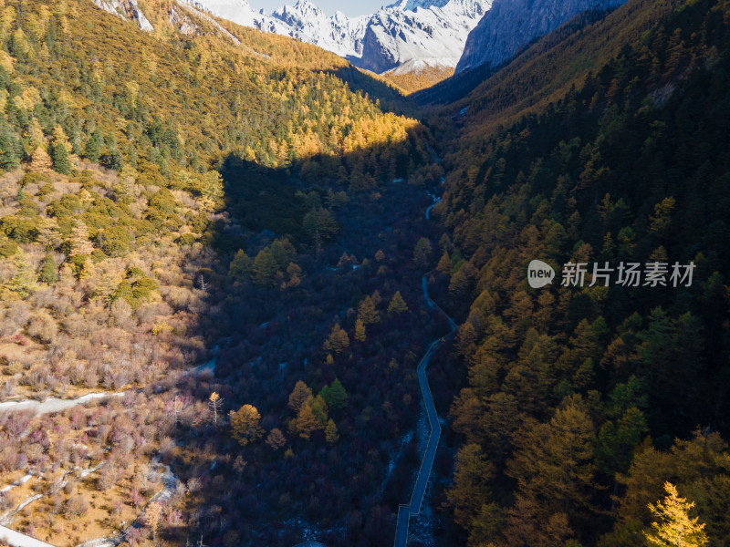 航拍四川甘孜州稻城亚丁山谷秋色