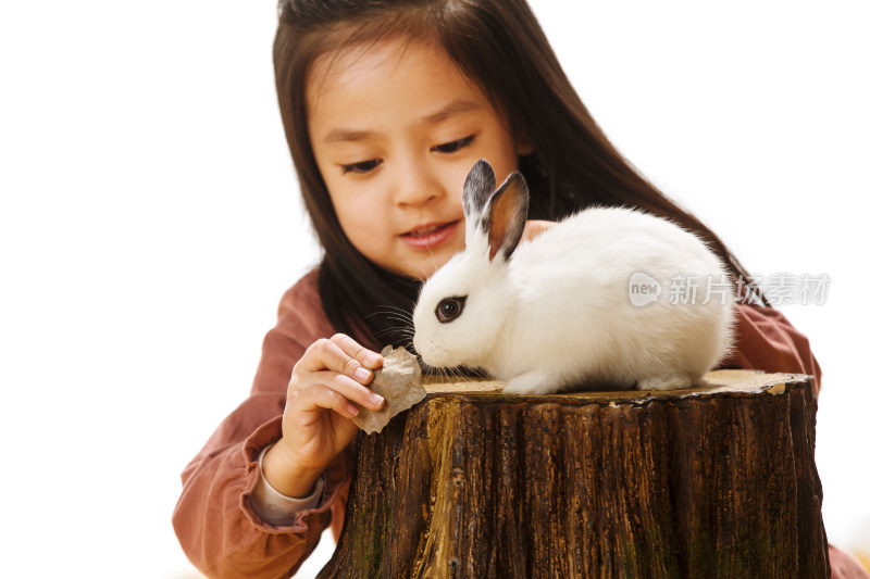 小女孩和小兔子