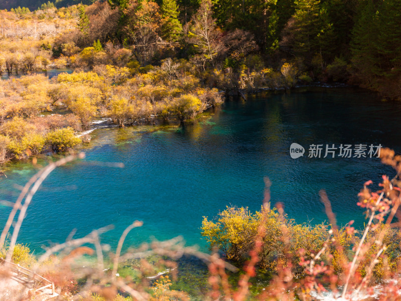 九寨沟秋景