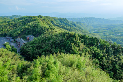 四川宜宾蜀南竹海