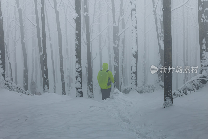 雪覆盖的林间小道