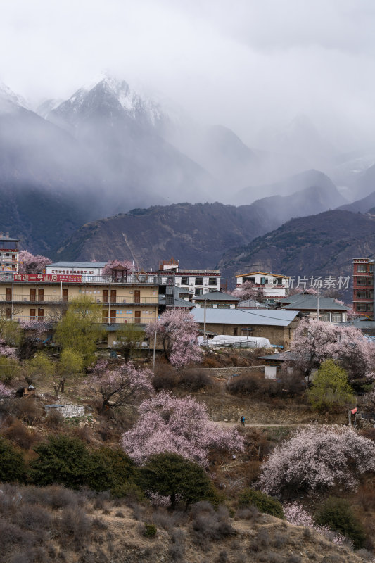 西藏林芝索松村南迦巴瓦峰雪山云海之巅