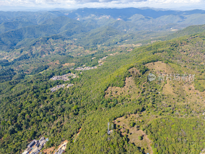 航拍被森林环绕的景迈山村庄全景