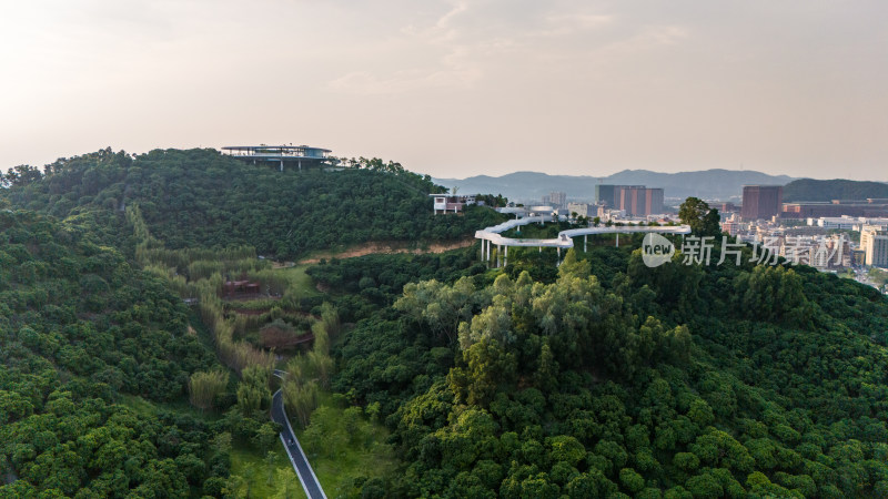 深圳市光明区科学公园/观景台/栈道