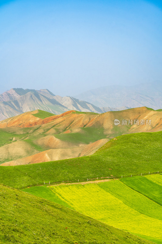 青海祁连县卓尔山景区，夏季起伏的高山牧场