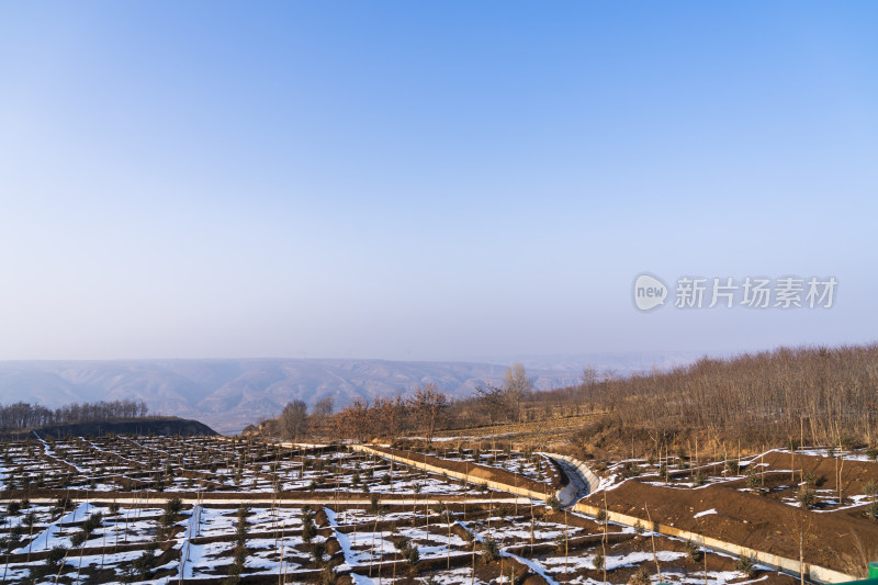 开阔土地上覆盖薄雪的种植地