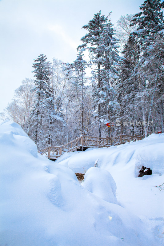 黑龙江 双峰林场 雪乡