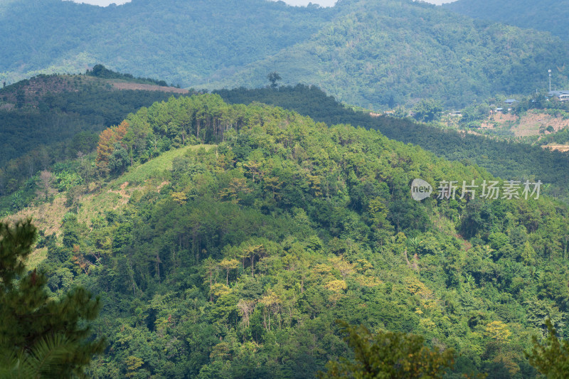 翠绿山峦的自然画卷