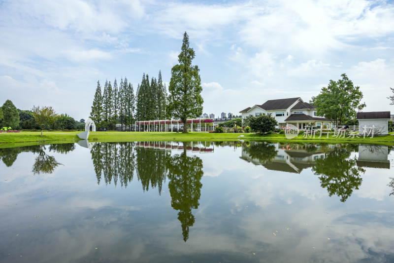 成都城市风景