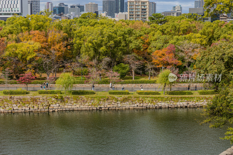 大阪城公园的秋天