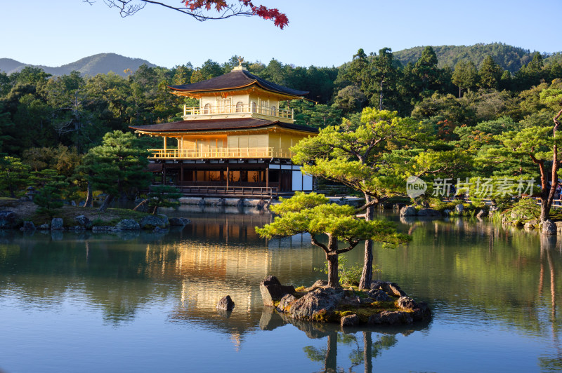 日本京都金阁寺金色舍利殿近景特写