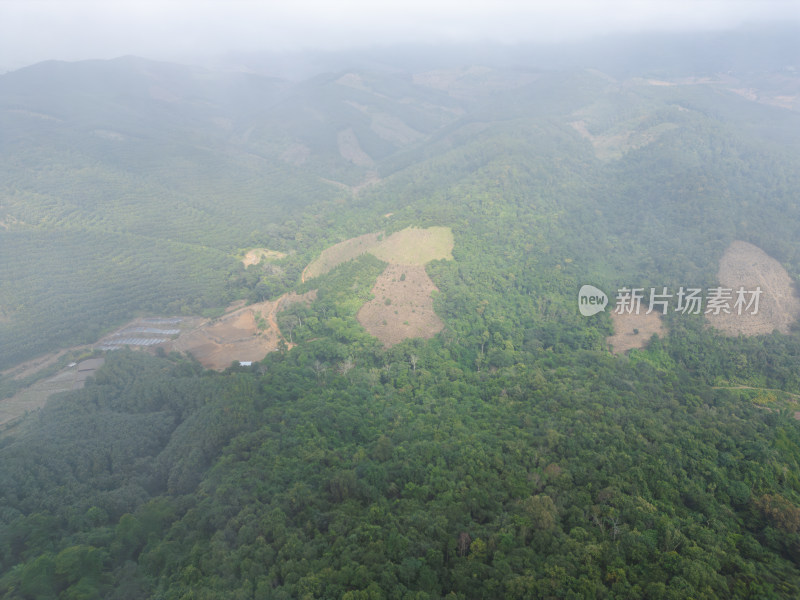 云雾笼罩下的葱郁山林鸟瞰全景