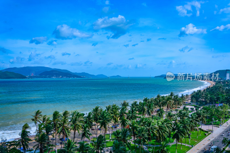 越南芽庄滨海沙滩棕榈树林与海景风光