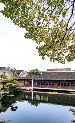 苏州艺圃中式庭院池塘倒影景观