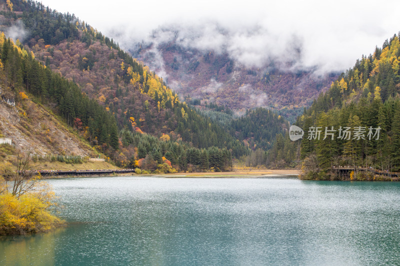 九寨沟秋色，箭竹海和秋景山林