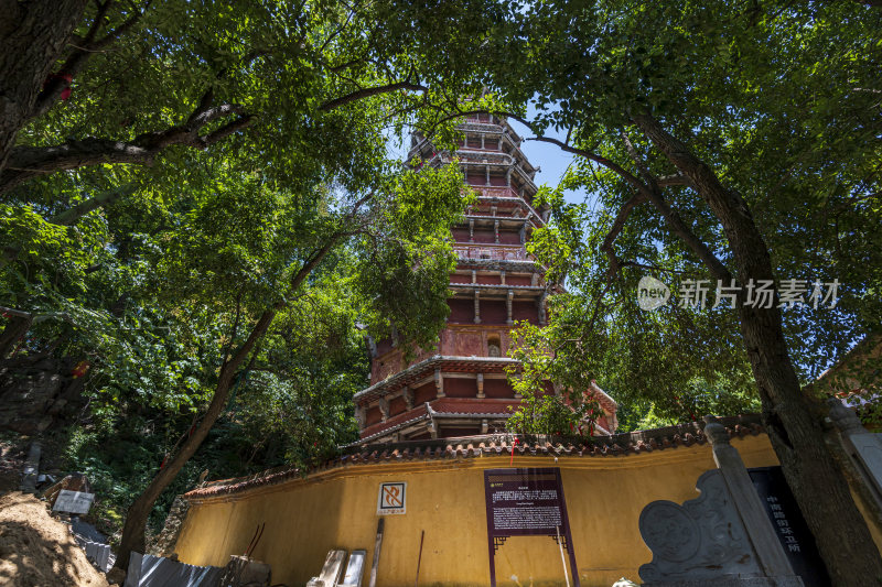 武汉洪山区宝通禅寺风景