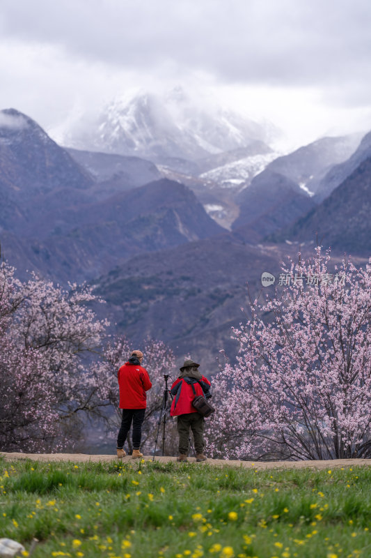 西藏林芝索松村南迦巴瓦峰雪山云海之巅