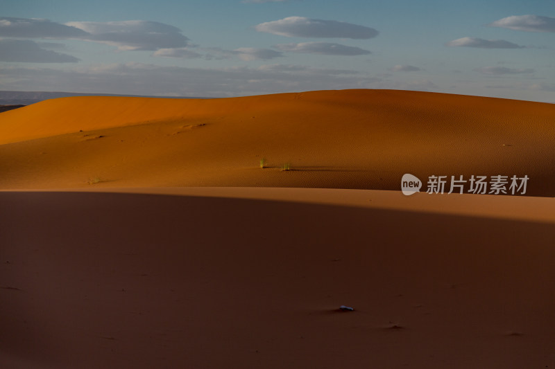 夕阳下的撒哈拉沙漠