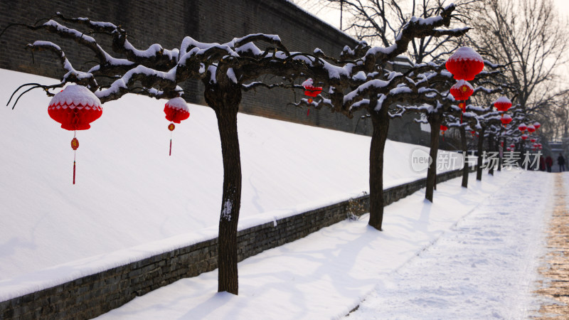 挂满红灯笼的雪后树木街道景象