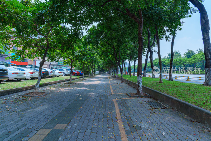 广州番禺钟村街道城市公路与林荫大道景观