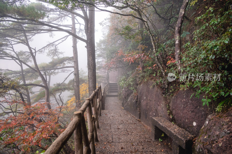 云雾下，安徽黄山风景区风光