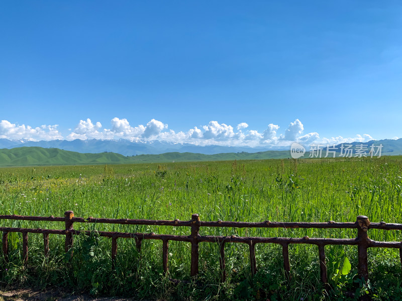 中国新疆伊犁那拉提草原旅游风光